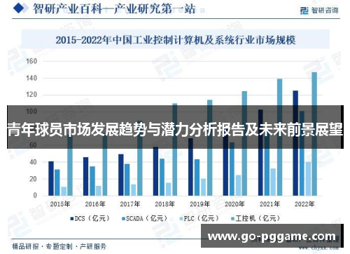 青年球员市场发展趋势与潜力分析报告及未来前景展望