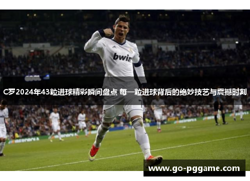 C罗2024年43粒进球精彩瞬间盘点 每一粒进球背后的绝妙技艺与震撼时刻