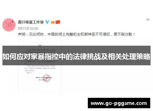 如何应对家暴指控中的法律挑战及相关处理策略