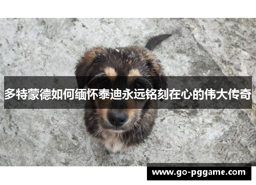 多特蒙德如何缅怀泰迪永远铭刻在心的伟大传奇